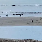 La Spiaggetta
