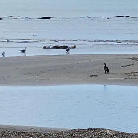La Spiaggetta